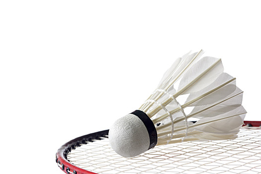 的能量释放 的能量释放